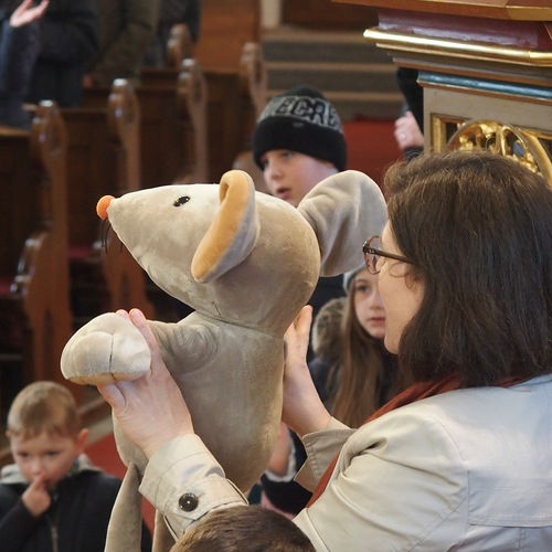 OLYMPUS DIGITAL CAMERA         